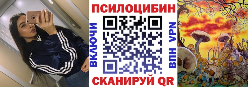 Псилоцибиновые грибы Psilocybe  что такое   Александровск-Сахалинский 